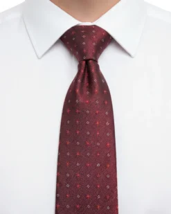 Cravattino uomo unisex cravatta elegante cerimonia microfantasia a contrasto bordeaux GIOSAL-CP1170A