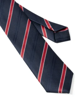 Cravattino Uomo Unisex Cravatta Pala Media Elegante Cerimonia Casual Basic Rigata Blu GIOSAL-CP1143A
