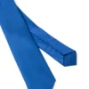 Cravattino Uomo Unisex Cravatta Pala Media Elegante Cerimonia Casual Basic Raso Diagonale Blu Royal GIOSAL-CP1140A