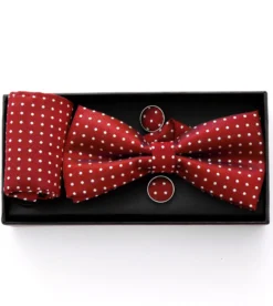 Set Pochette Papillon Gemelli Uomo Unisex Elegante Cerimonia Pois Rosso GIOSAL-CP1052A
